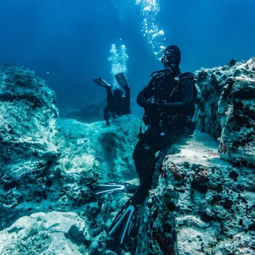 Aquadive Professional Diving Team