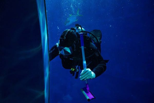 Rescue Diver Training