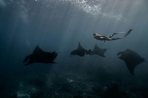 Bali Beginner Reef Dive