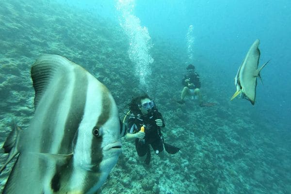 Maldives Reef Discovery Tour